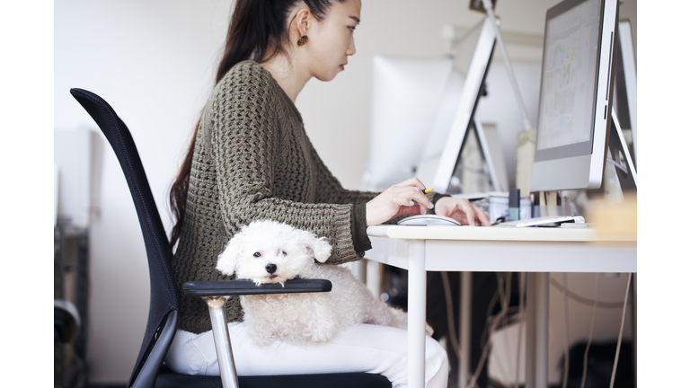 business woman working at office with dog