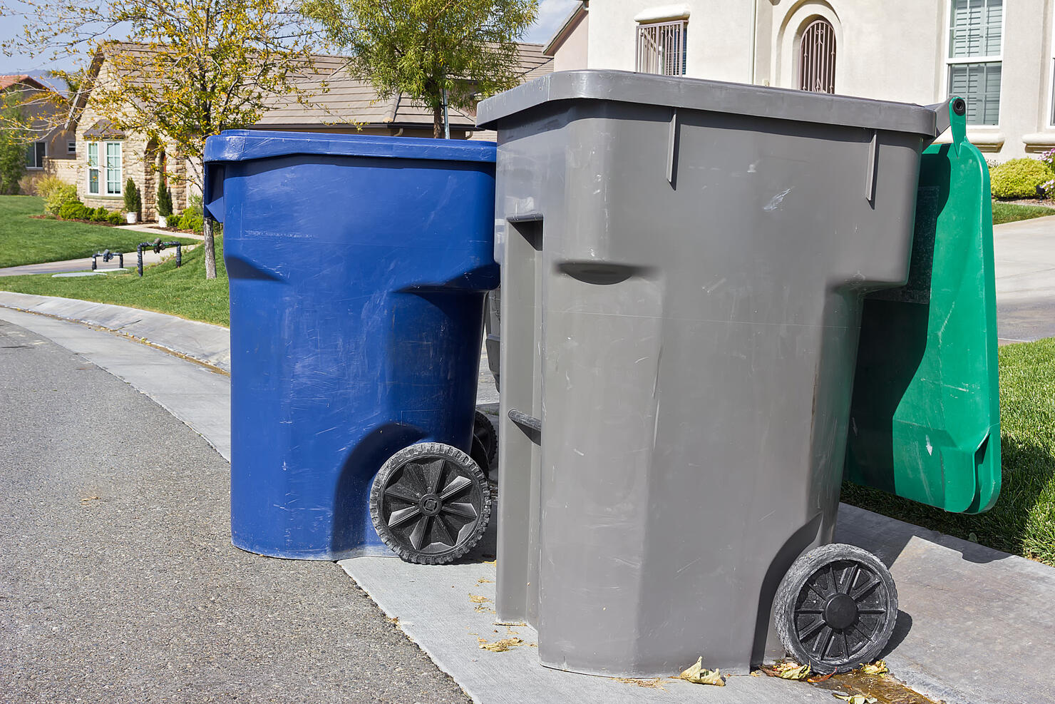 Trash Bins Ready for Pickup