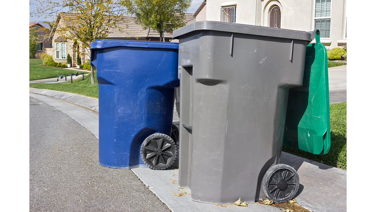 Trash Bins Ready for Pickup