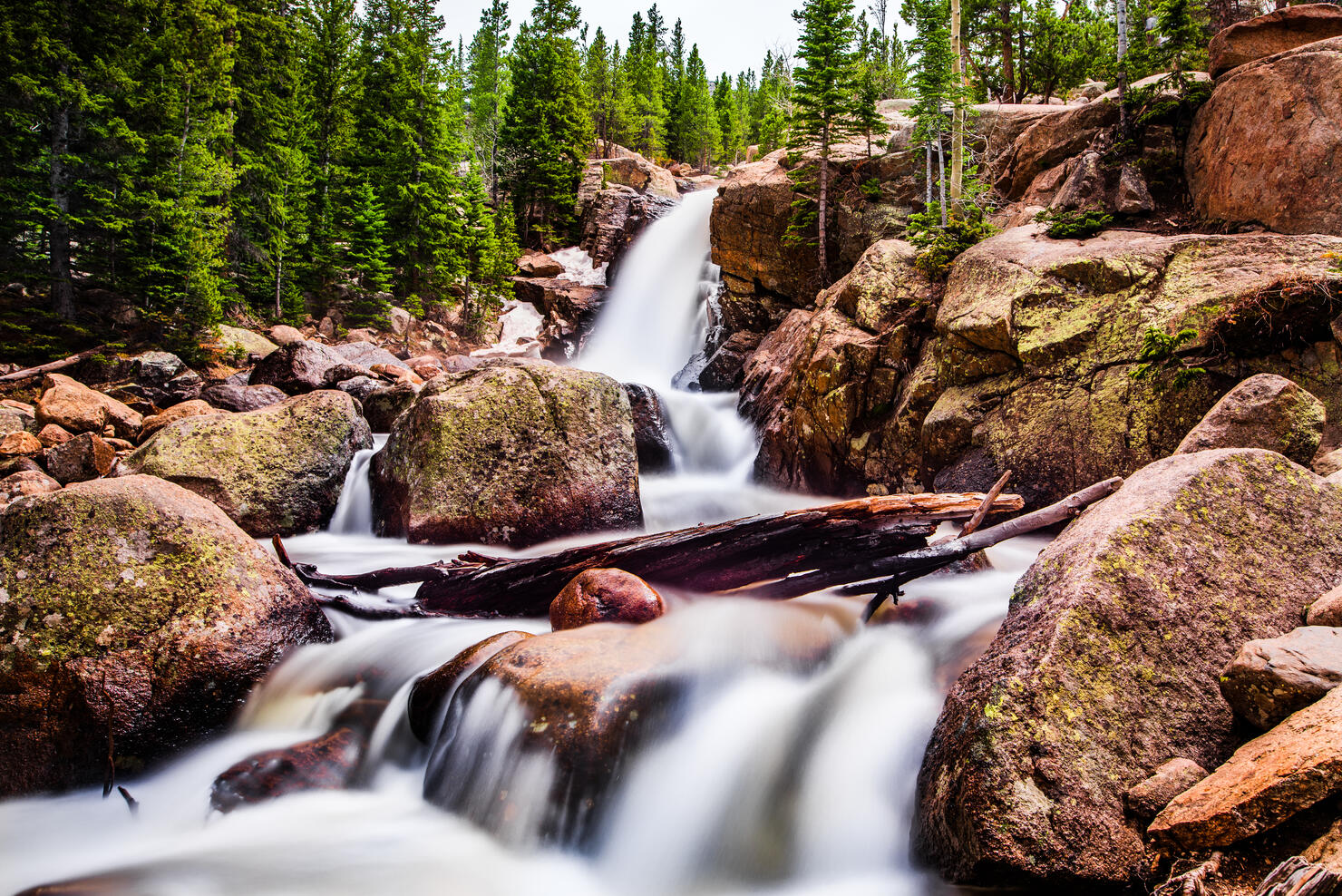 Alberta Falls