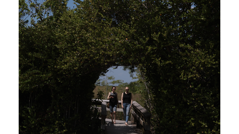 The Natural Wonder Of Florida's Everglades National Park