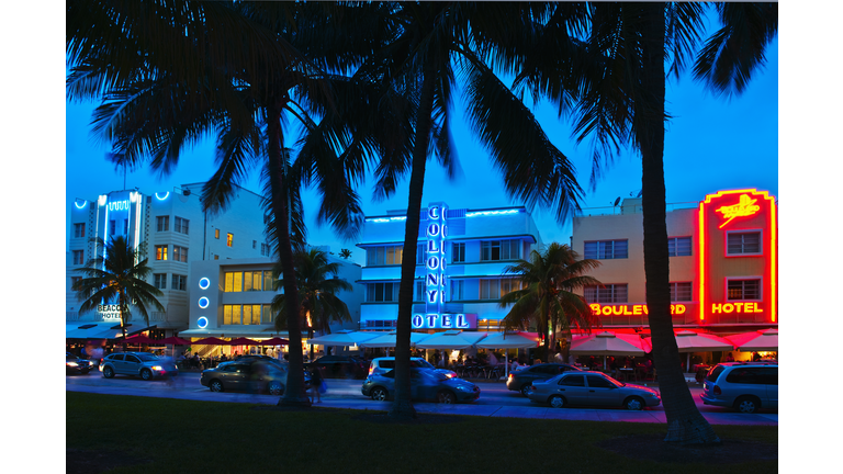 Palm trees and street at night