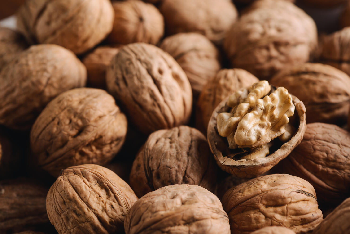 Close-Up Of walnut