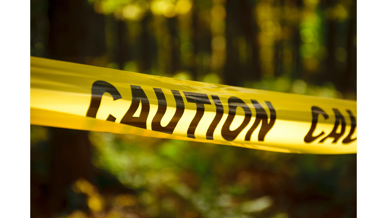 Caution yellow tape in woods