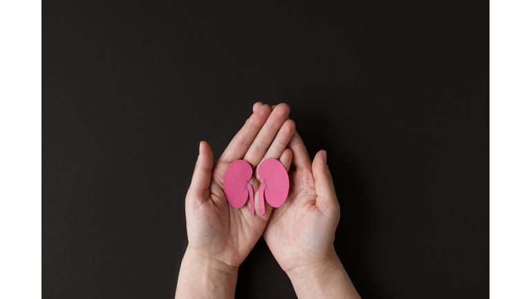 World kidney day. Adult hands holding kidney shaped paper on black background. National Organ Donor Day. Kidney health concept.