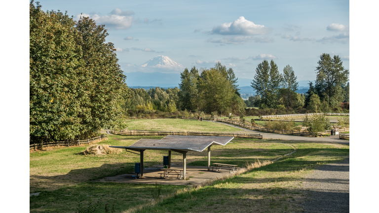 Mount Rainier From Grandview 5