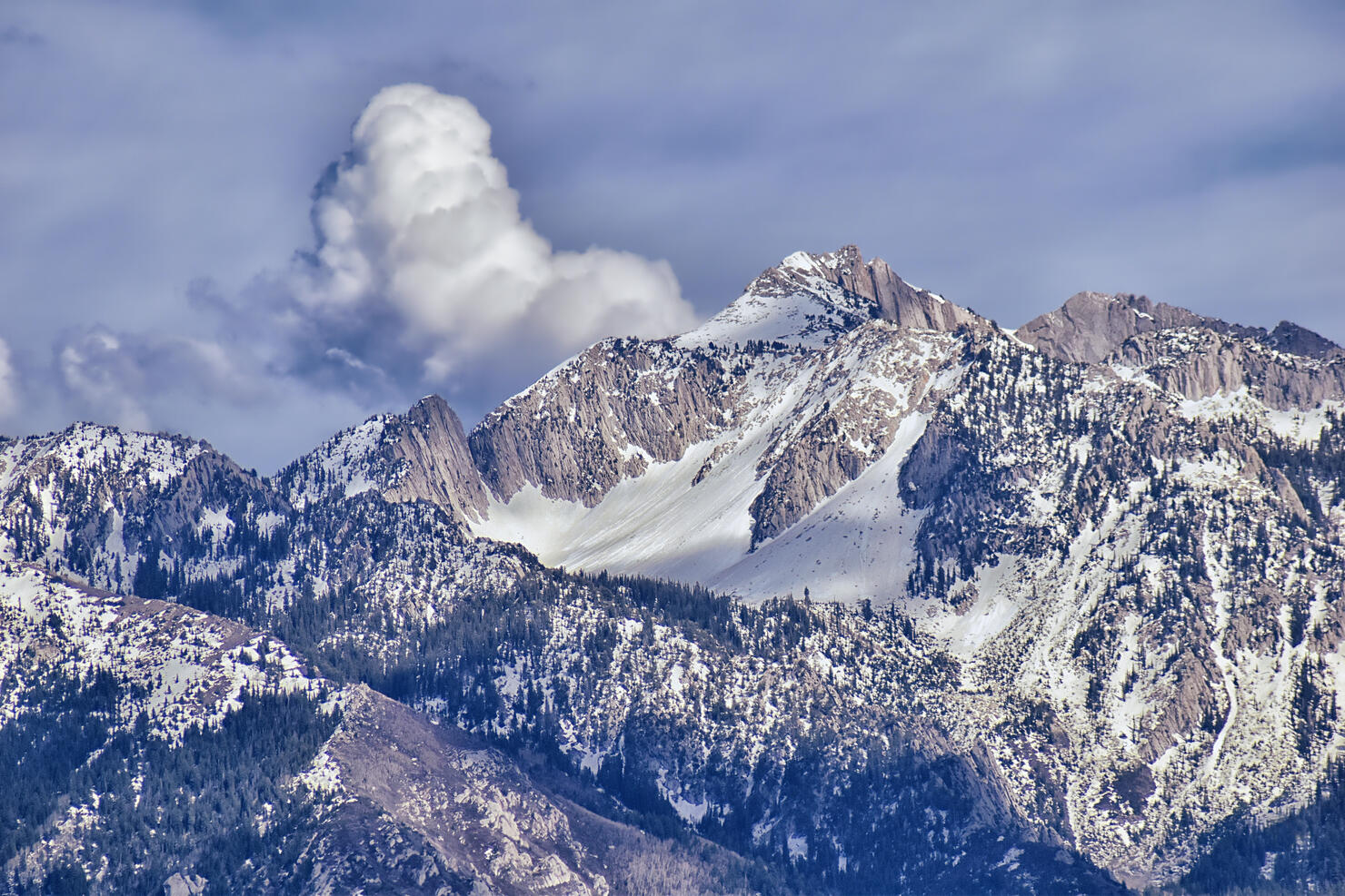 Panoramic view of Wasatch Front Rocky Mountain, highlighting Lone Peak and Thunder Mountain from the Great Salt Lake Valley in early spring with melting snow, pine trees, scrub oak and quaking aspen in Utah.