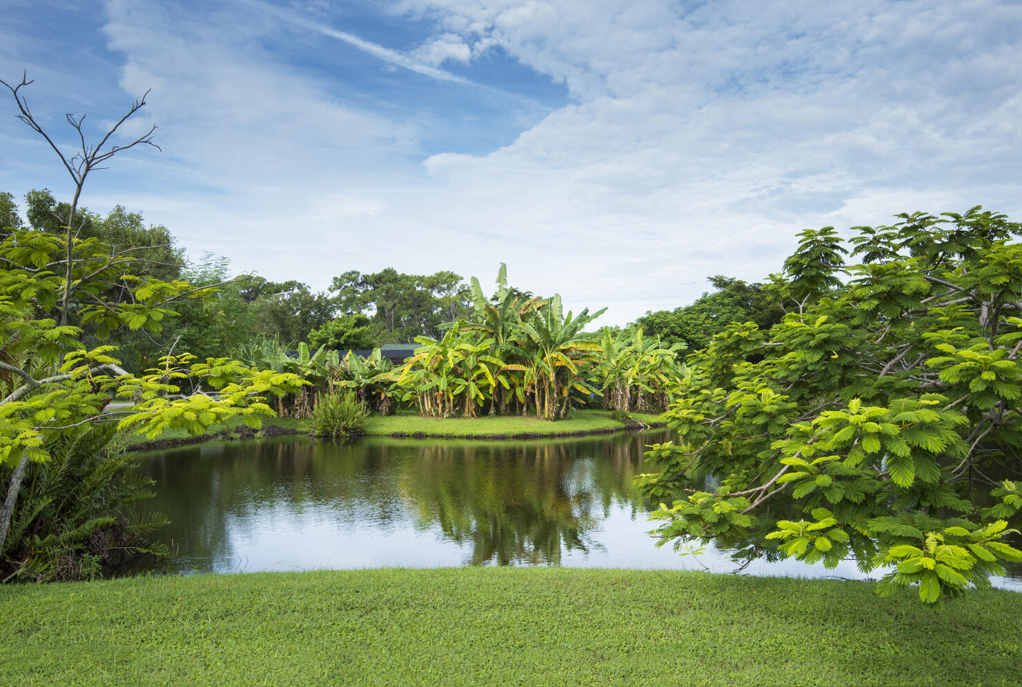 Palma Sola Botanical Park, Public Botanical Garden, Bradenton, Florida