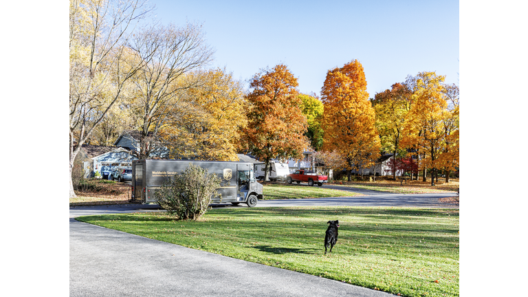 Pet Dog Chasing UPS Delivery Truck Passing on Suburban Street