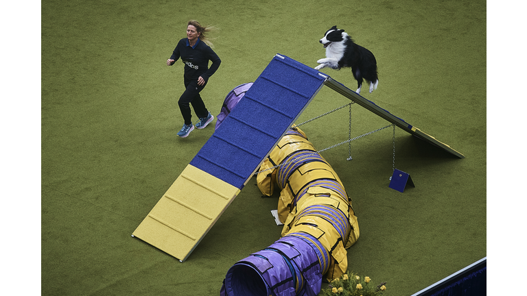 Westminster Kennel Club Host Its Annual Dog Show