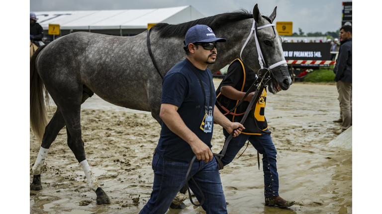 149th Preakness Stakes