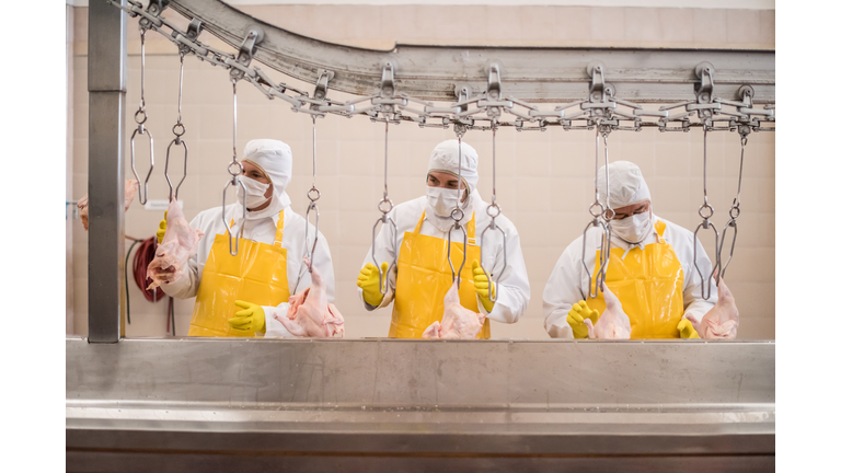 Workers working at a chicken factory
