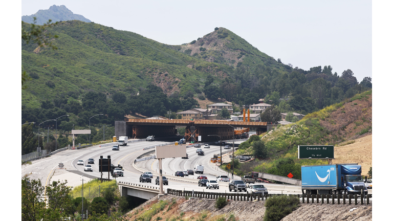 The National Wildlife Foundation And Caltrans Work On A Wildlife Corridor Across The 101 Freeway