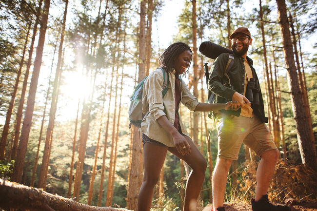 Forest walk and camping adventures