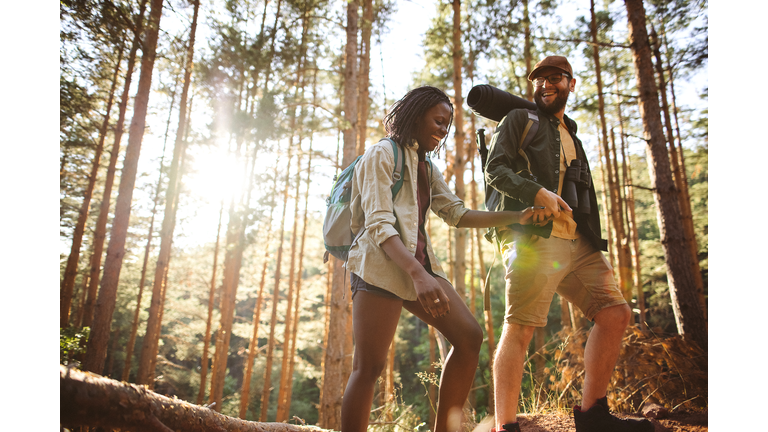 Forest walk and camping adventures