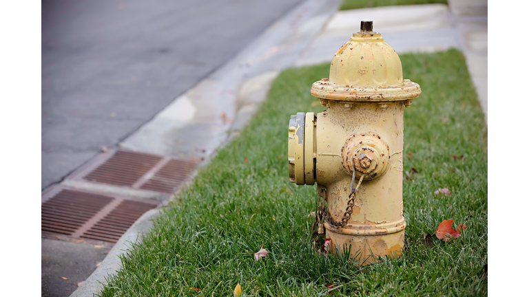 Yellow Metal Fire Hydrant by Residential Street