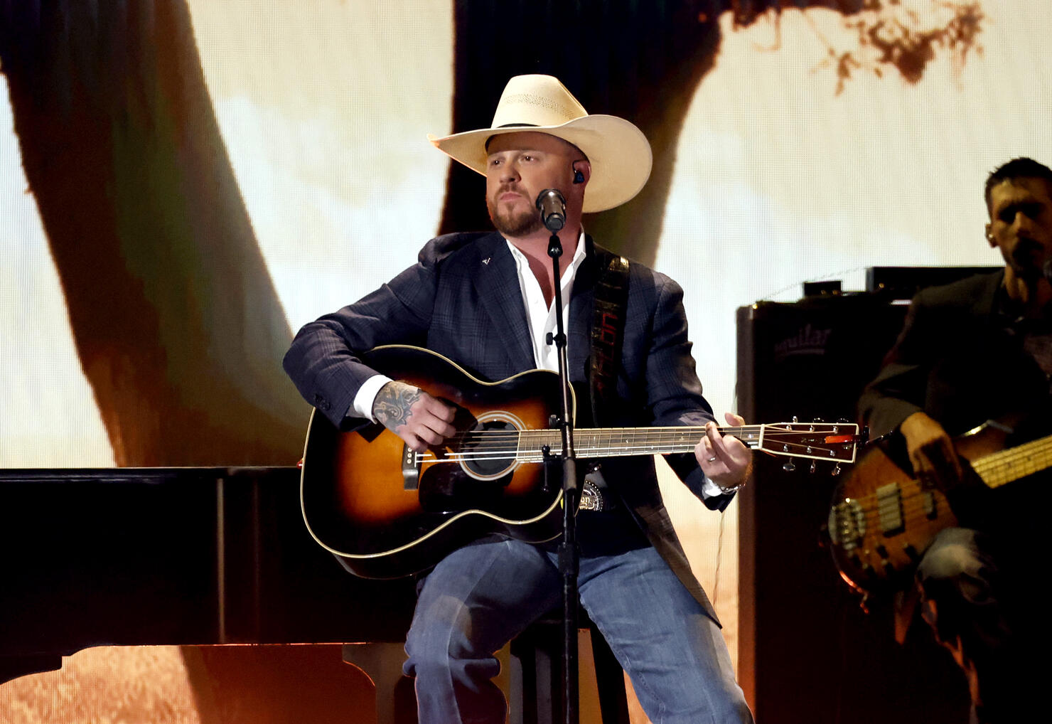 59th Academy of Country Music Awards - Show