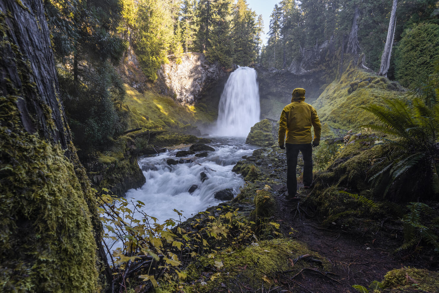Man at Sahalie Falls, Linn county, Oregon, US.