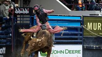 Bull Leaps Fence Into Crowd at Rodeo