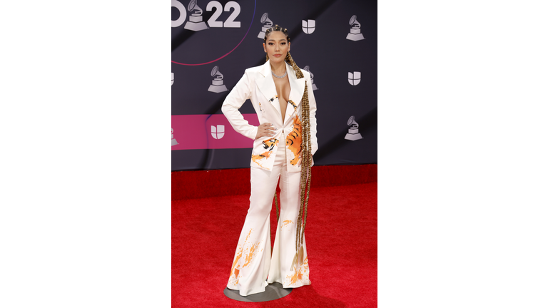 23rd Annual Latin GRAMMY Awards - Arrivals