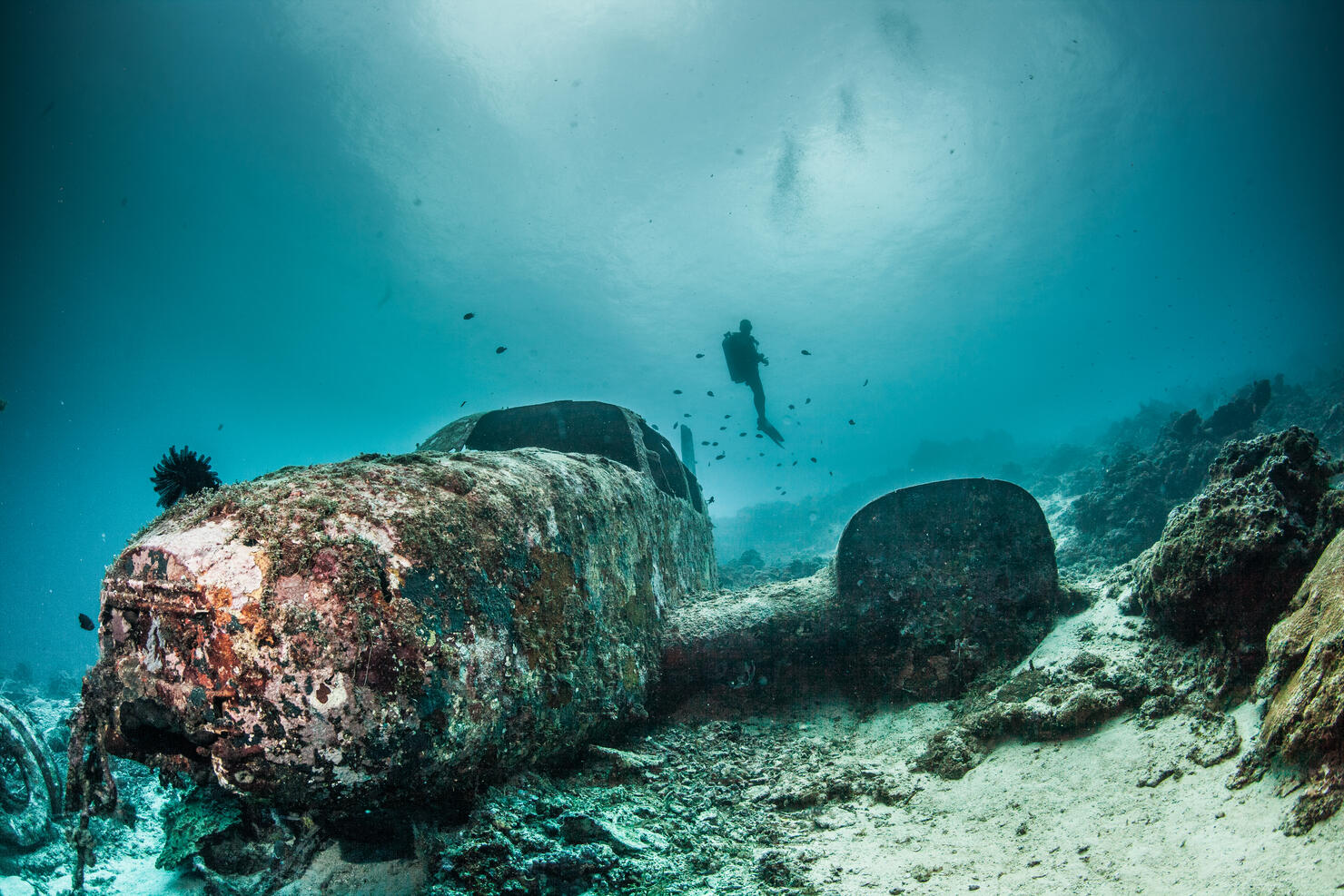 diver and plane wreck