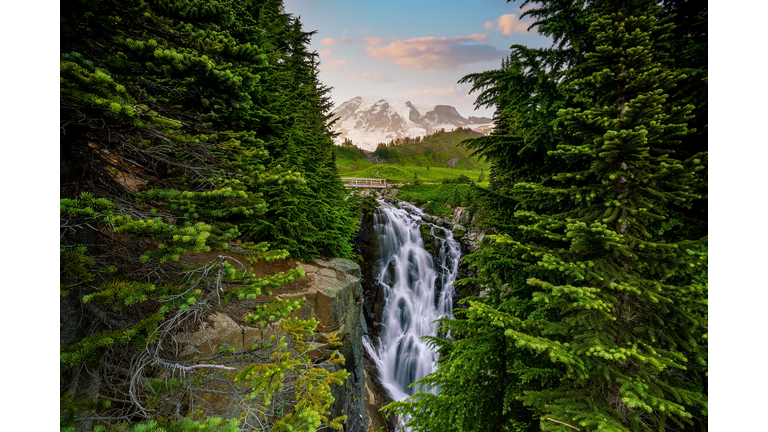 Landscape of Mount Rainier National Park in USA