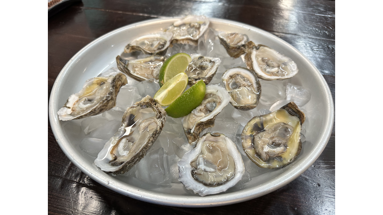 Fresh Gulf Oysters on the half shell