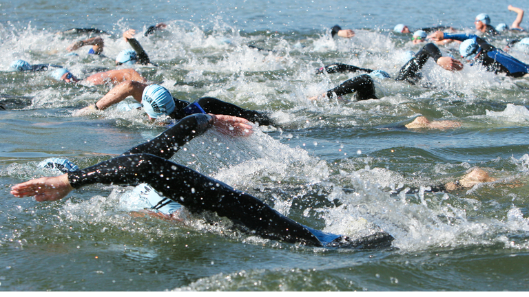 Triathlon Swimmers