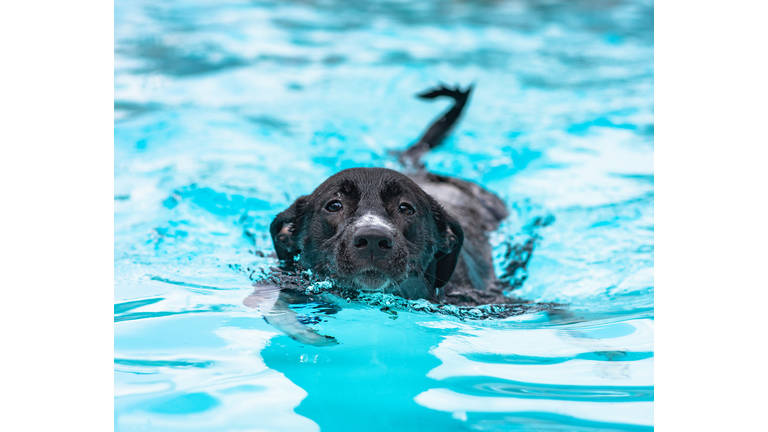 Libby Takes a Dip