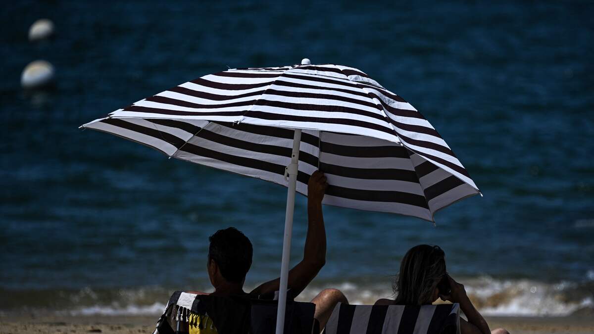 Sharks Don't Make Florida Beaches Dangerous, Umbrellas Do! 