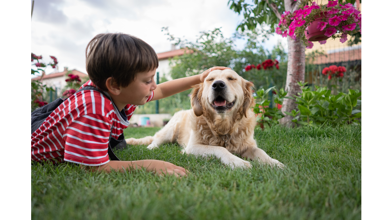 Happy little boy stroking his dog in the back yard