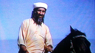 Remote Viewing Bin Laden