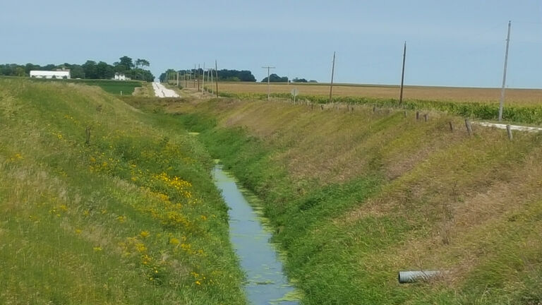 Drainage Ditch Near Northern Iowa Field