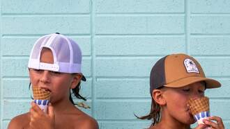 2 Local Ice Cream Shops Offer Free Ice Cream For Kids Who Can Recite Pledge