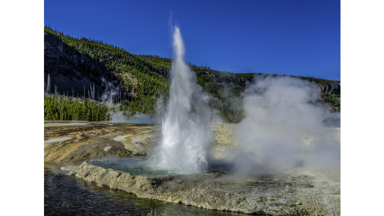 Cliff Geyser at Black Sand Basin in Yellowstone National Park.