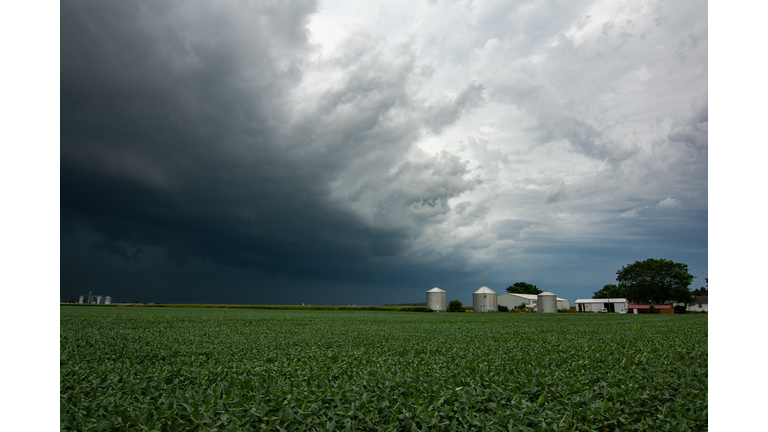 Incoming Derecho approaching across the corn fields.  August 2020.