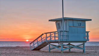 HUGE SWARM OF DRAGONFLIES TOOK OVER THE BEACH