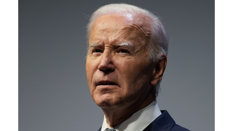 TOPSHOT-US-POLITICS-BIDEN-ELECTION
