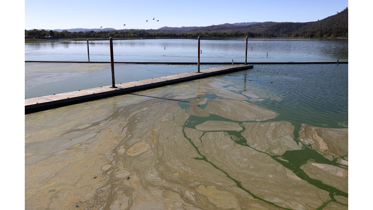 Cyanotoxin Outbreak Due To Dry, Hot Summer Threatens Water Supply In Clear Lake, California