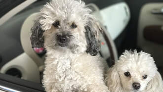 Happy National Drive-Thru Day!