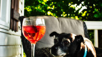 Happy National Wine and Cheese Day! 