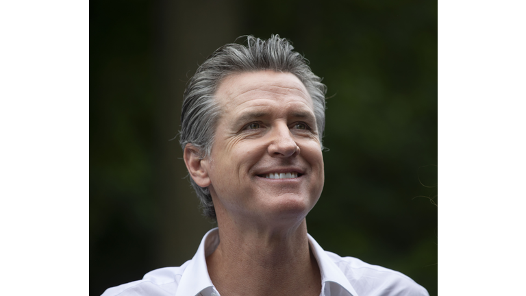 California Governor Newsom Campaigns For President Biden In Michigan