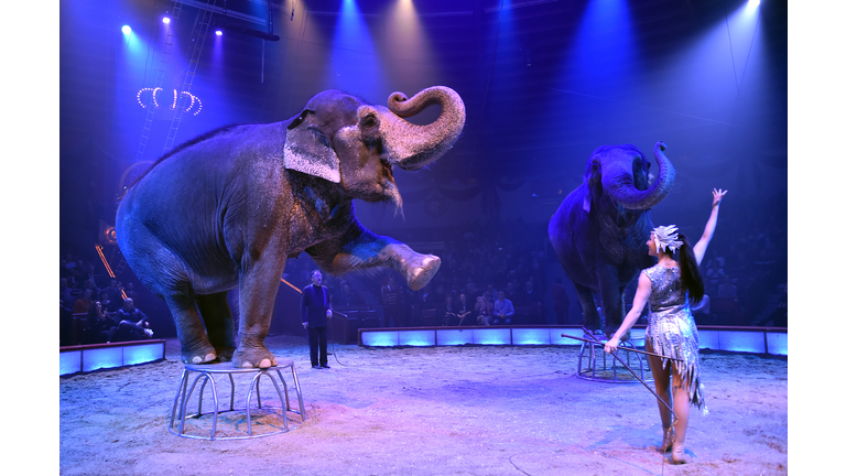 Circus Krone Celebrates Third Premiere Of Winter Season