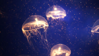 Reports of Jellyfish-like UFOs