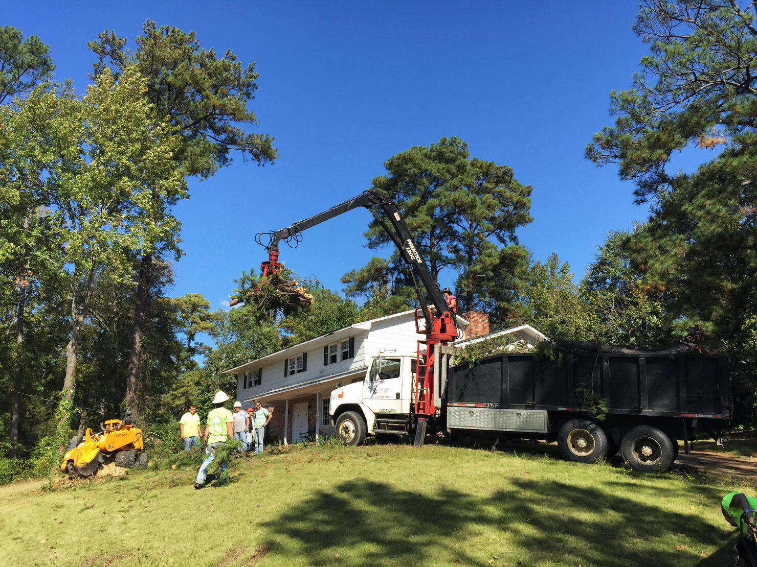 Tree Removal Construction Workers in a Residential Neighborhood