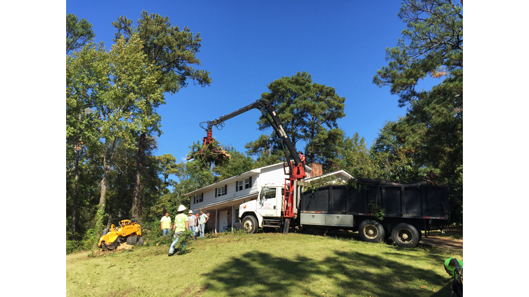 Tree Removal Construction Workers in a Residential Neighborhood