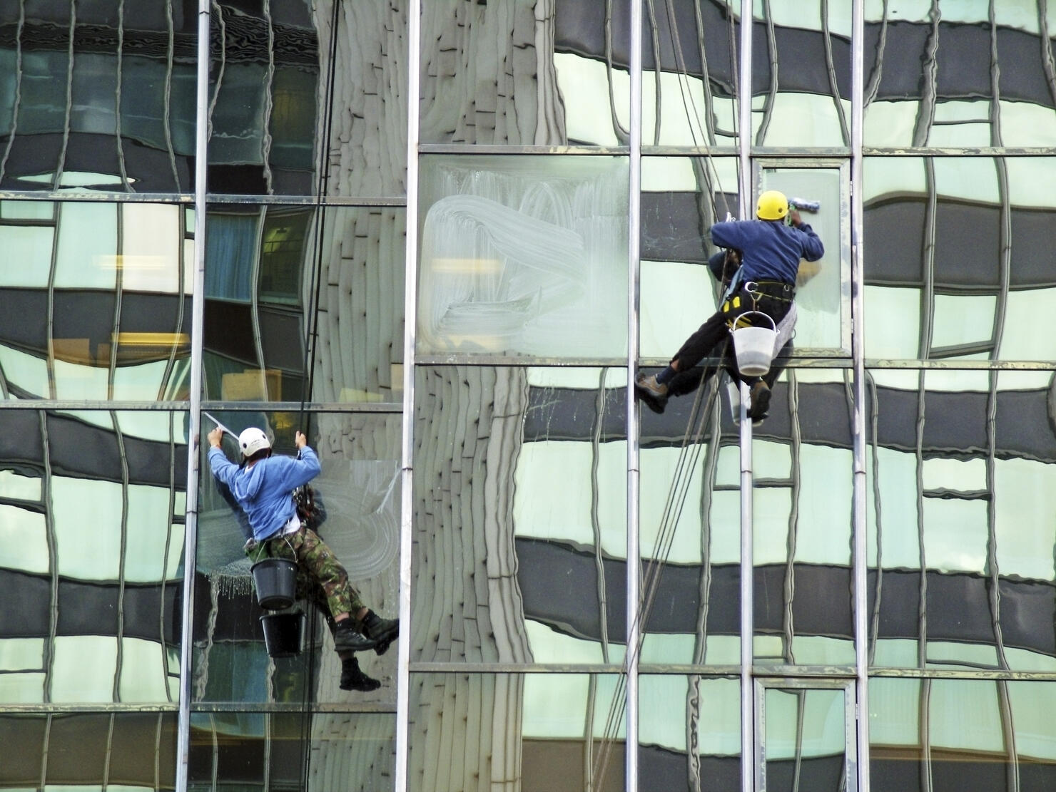 Window Cleaners