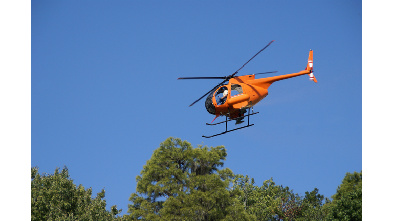 Spraying For Mosquitos