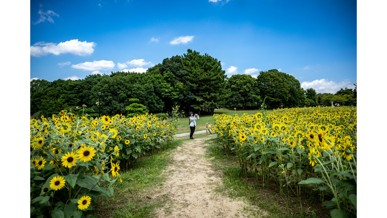 JAPAN-WEATHER