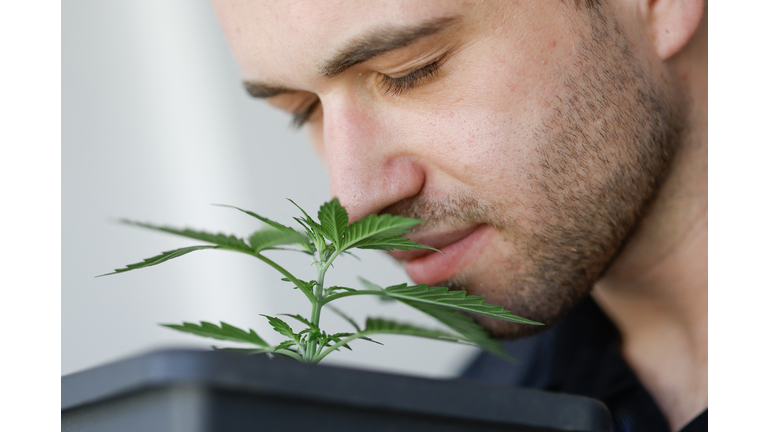 GERMANY-POLITICS-HEALTH-CANNABIS